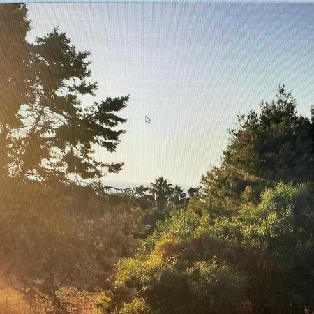 بيت للعطل Siisa La Muddizza A 500 Mt Dal Mare فاليدوريا