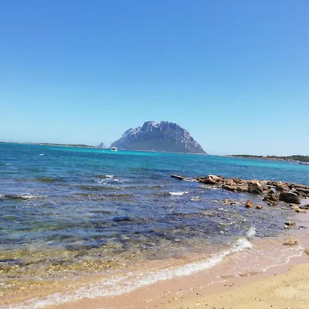 Siisa La Muddizza A 500 Mt Dal Mare * Valledoria (Sardinia)